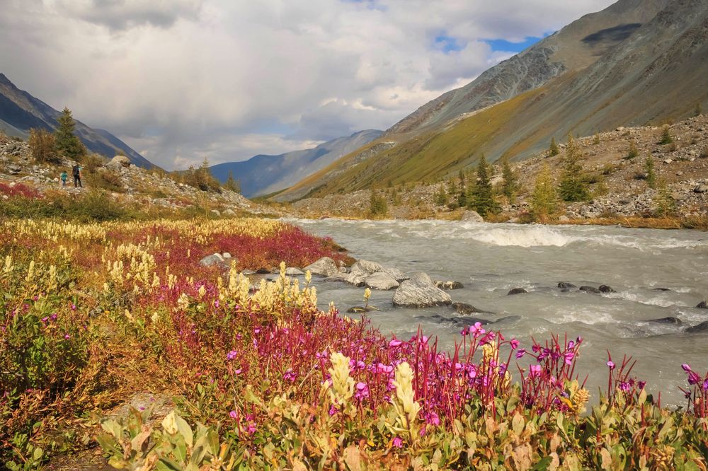 Photograph by Янина Малиновская