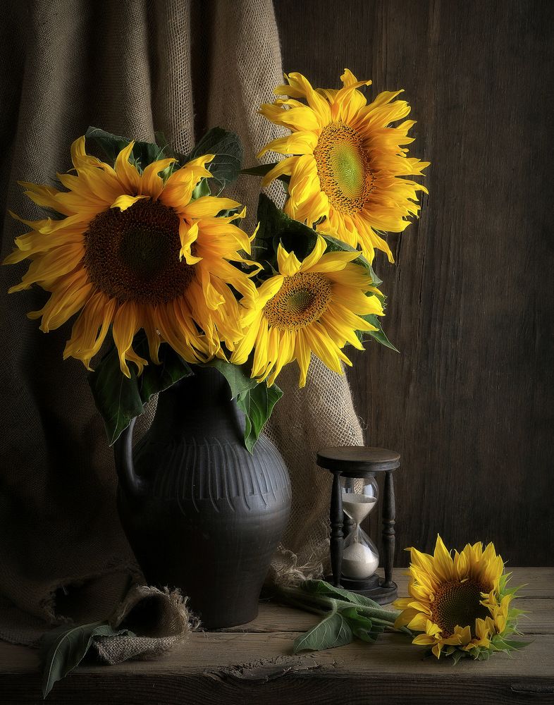 Время подсолнухов