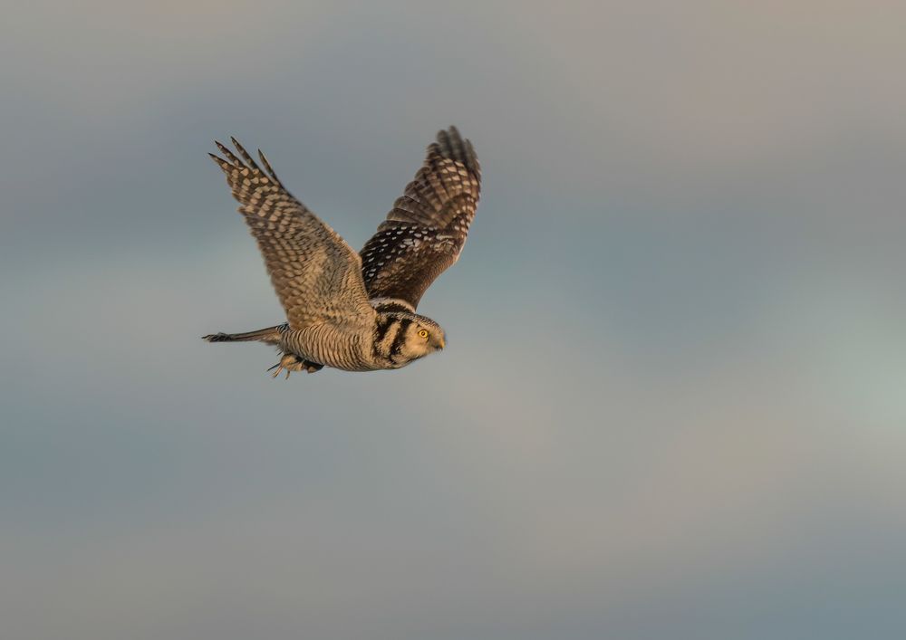 Photograph by Eva Frisnes