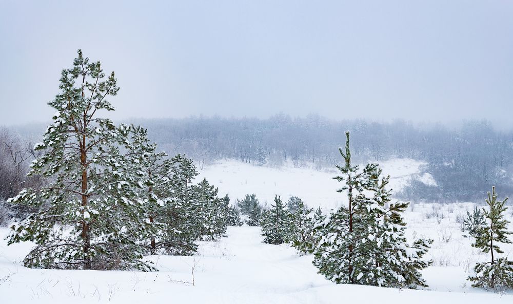 Photograph by Олег Ерпылёв