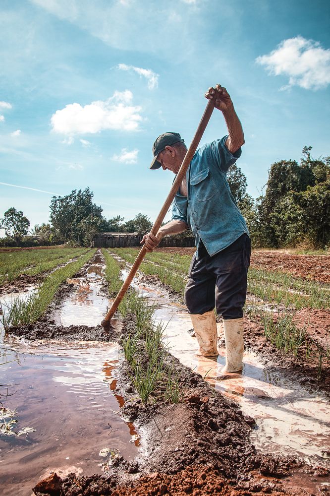 Фотография автора Leonardo Israel Morilla Freyre