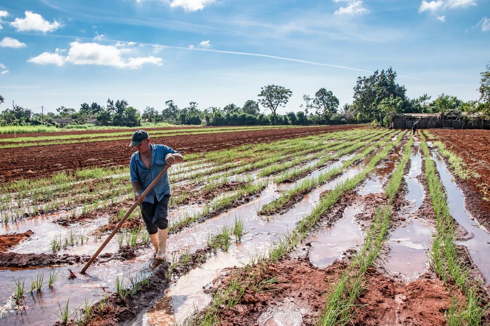 Фотография автора Leonardo Israel Morilla Freyre