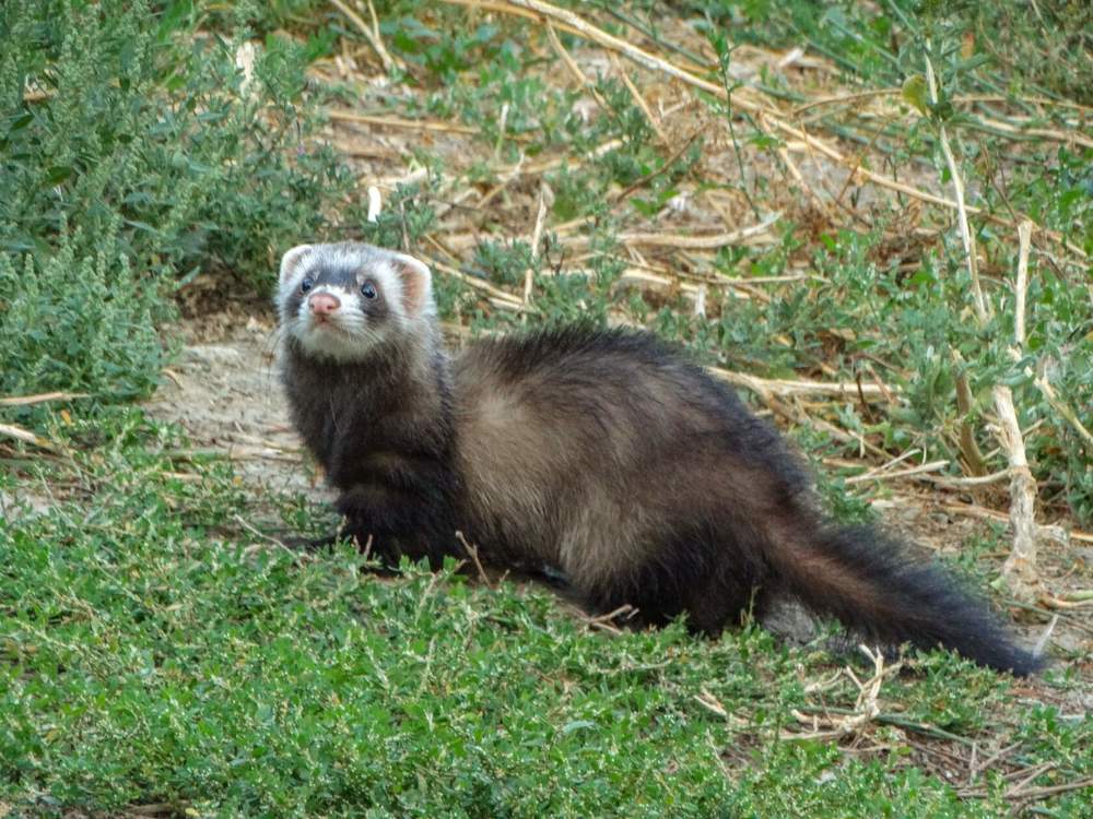 Photograph by Анжелика Трошина