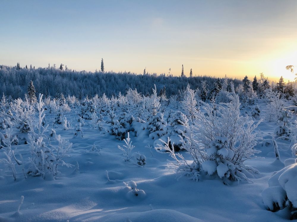 Photograph by ЮЛИЯ СУЛИМОВА