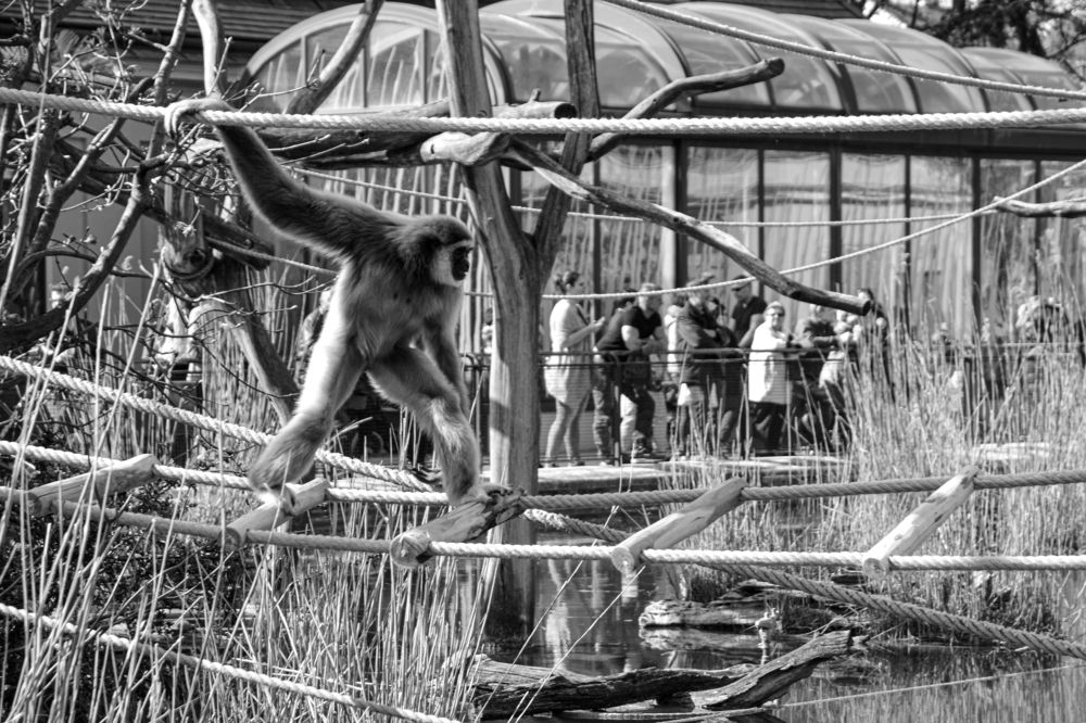 Фотография автора Ольга Лихтарь