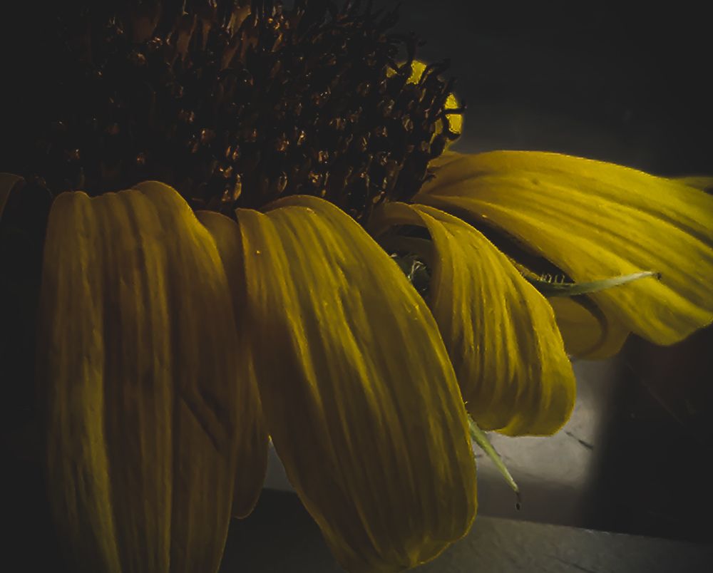 Photograph by Thameur Dahmani