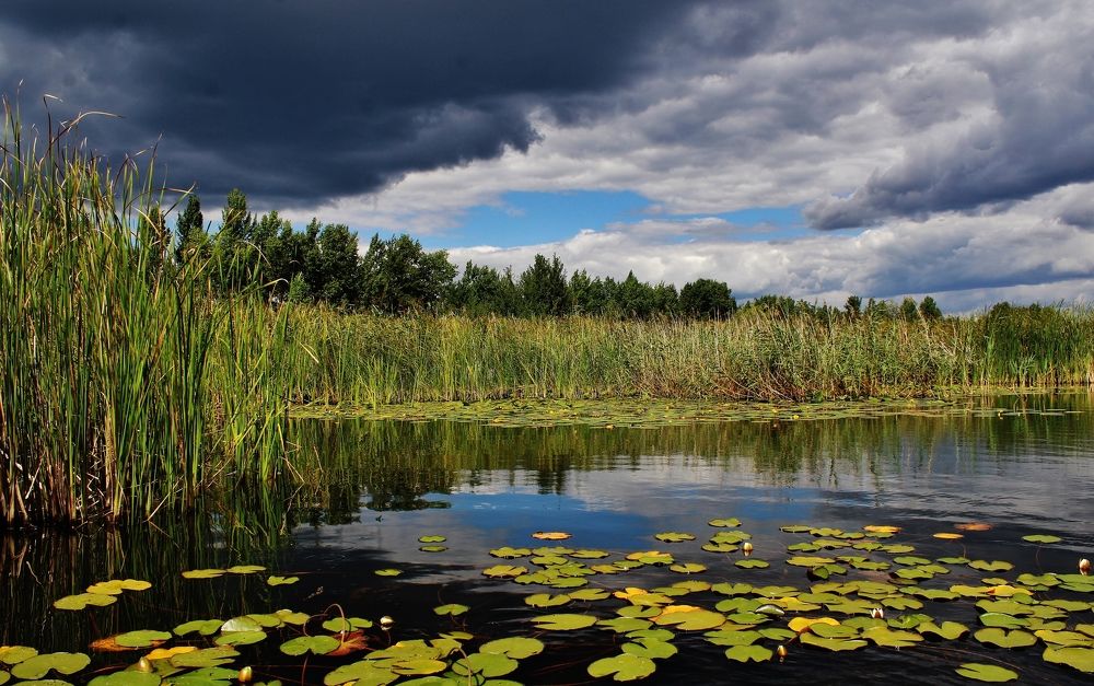 Photograph by Анна Восковых