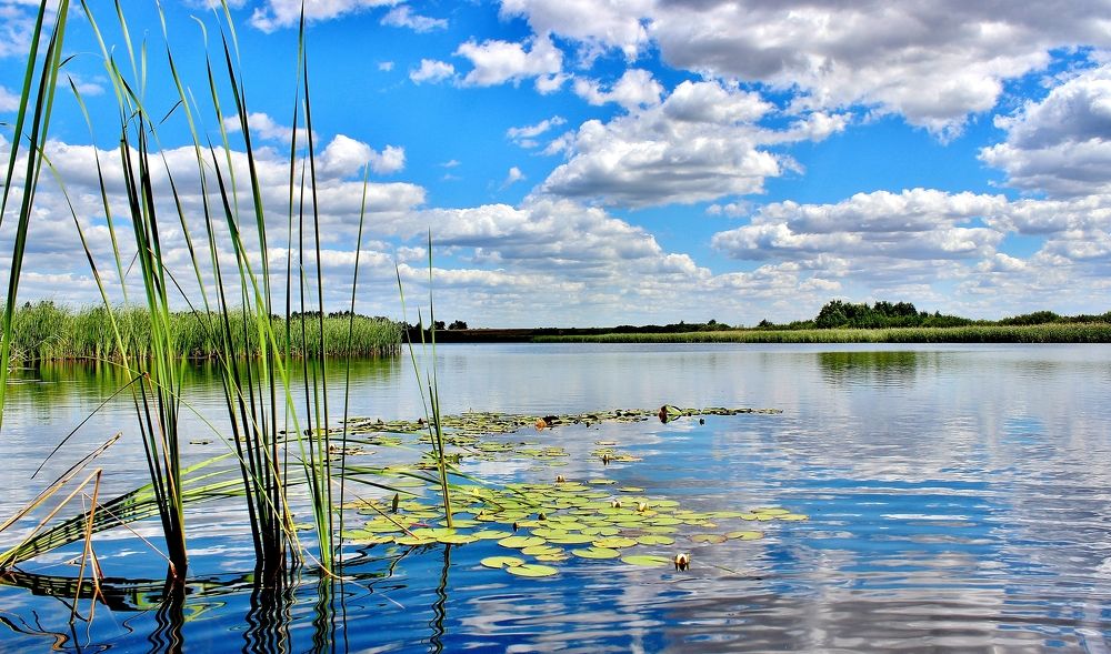 Photograph by Анна Восковых