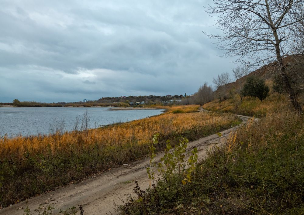 Photograph by александр медведев