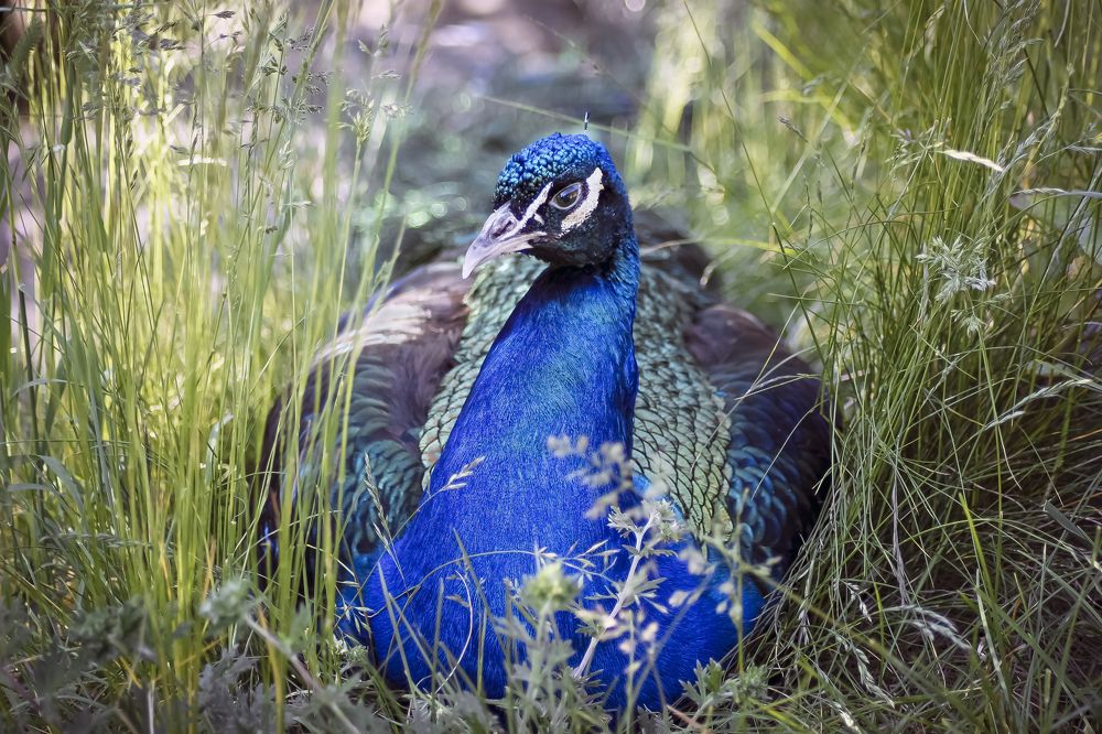 Photograph by Stamen Sotirov