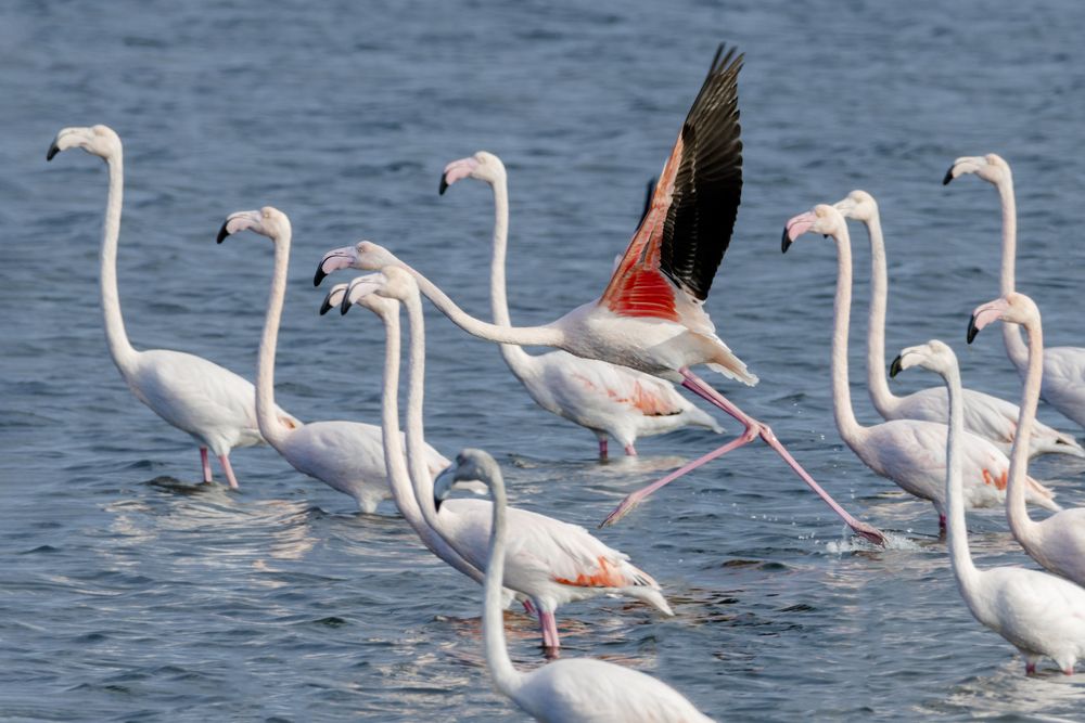 Photograph by Stamen Sotirov