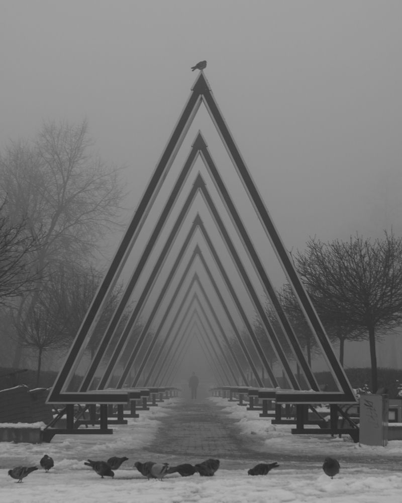 Фотография автора Сергей Затямин