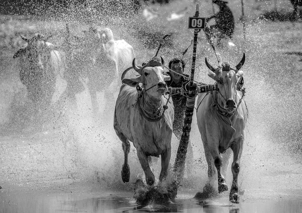 Photograph by TRAN HAI DUONG