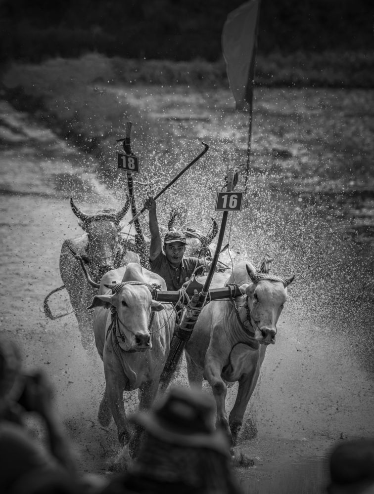 Photograph by TRAN HAI DUONG