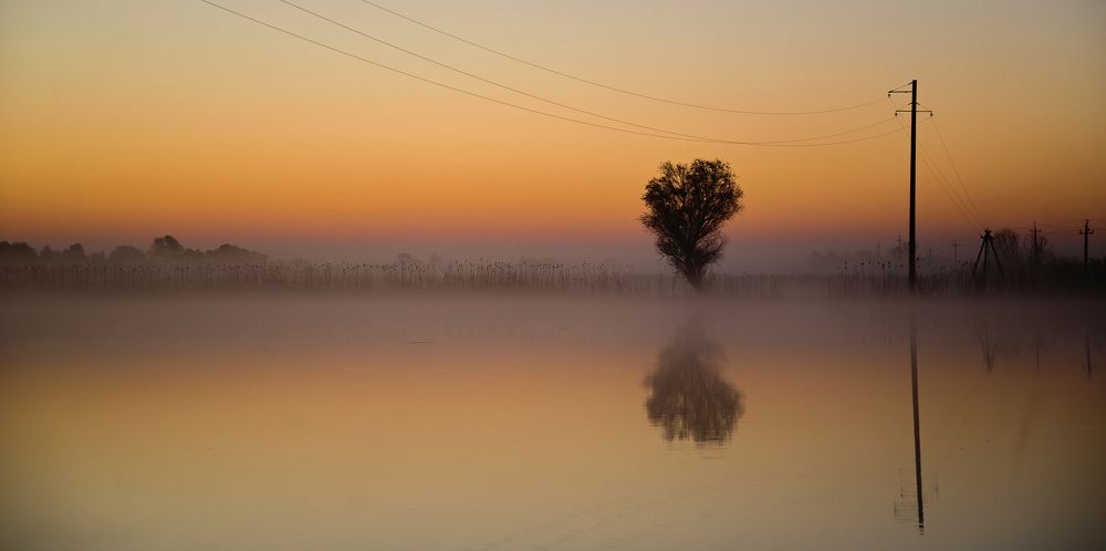 Photograph by 