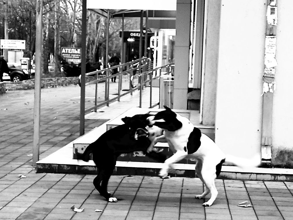 Photograph by Марина Храпова