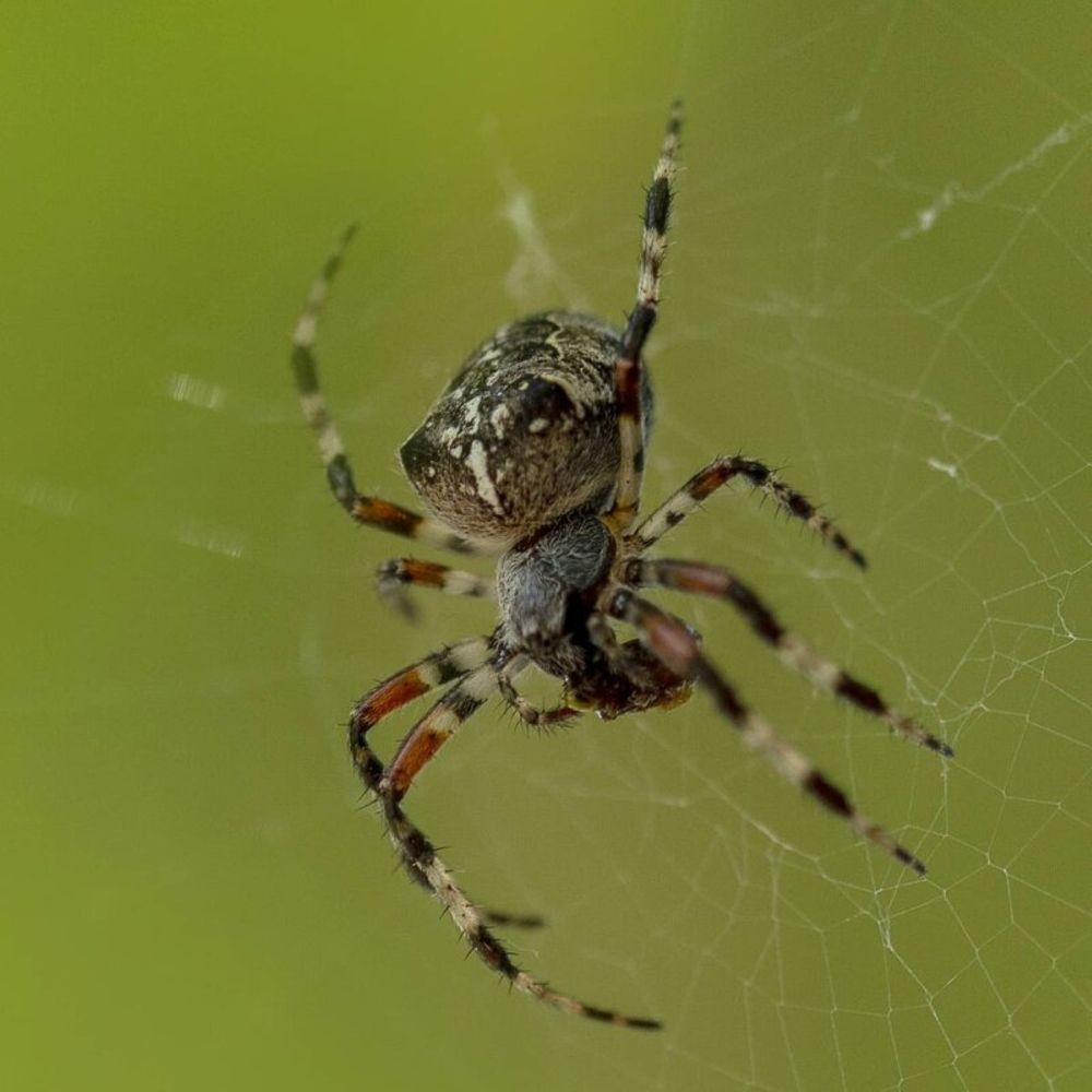 Photograph by Мария Овсечук