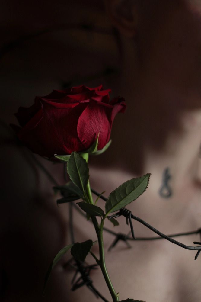 Photograph by Анна Кузьмина