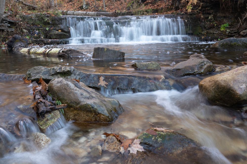 Photograph by Greg Noakes