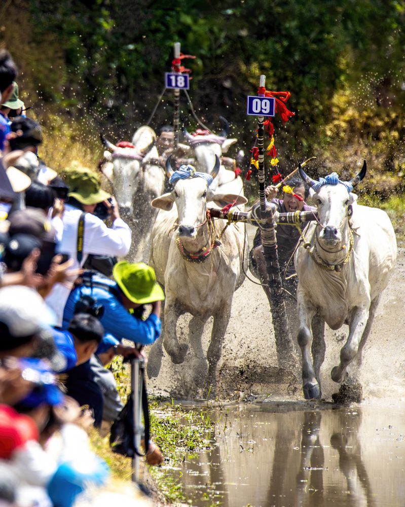 Photograph by TRAN HAI DUONG