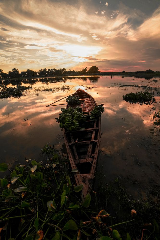 Photograph by Debashish Das
