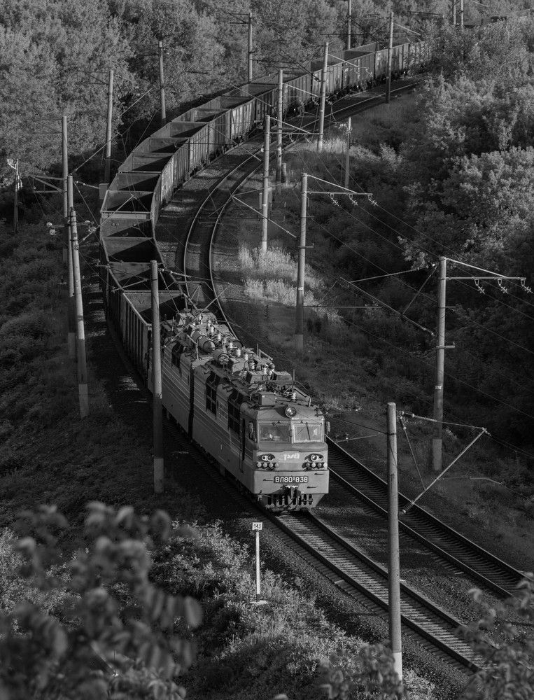 Фотография автора Алексей Тимофеев