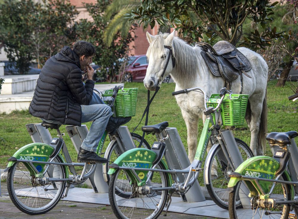 два вида транспорта