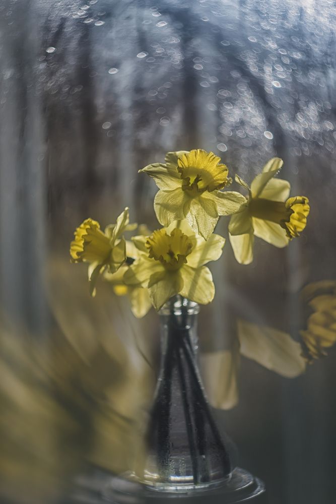 Фотография автора Сигидова Ирина