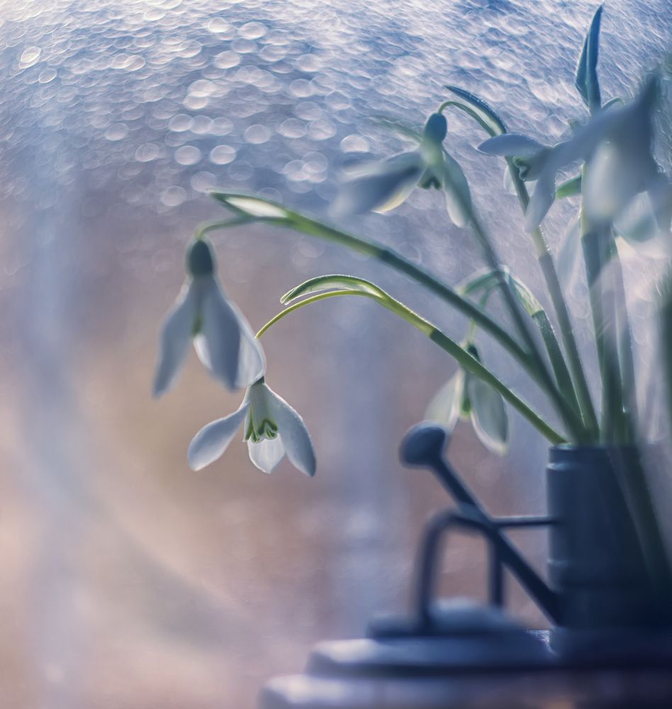 Фотография автора Сигидова Ирина