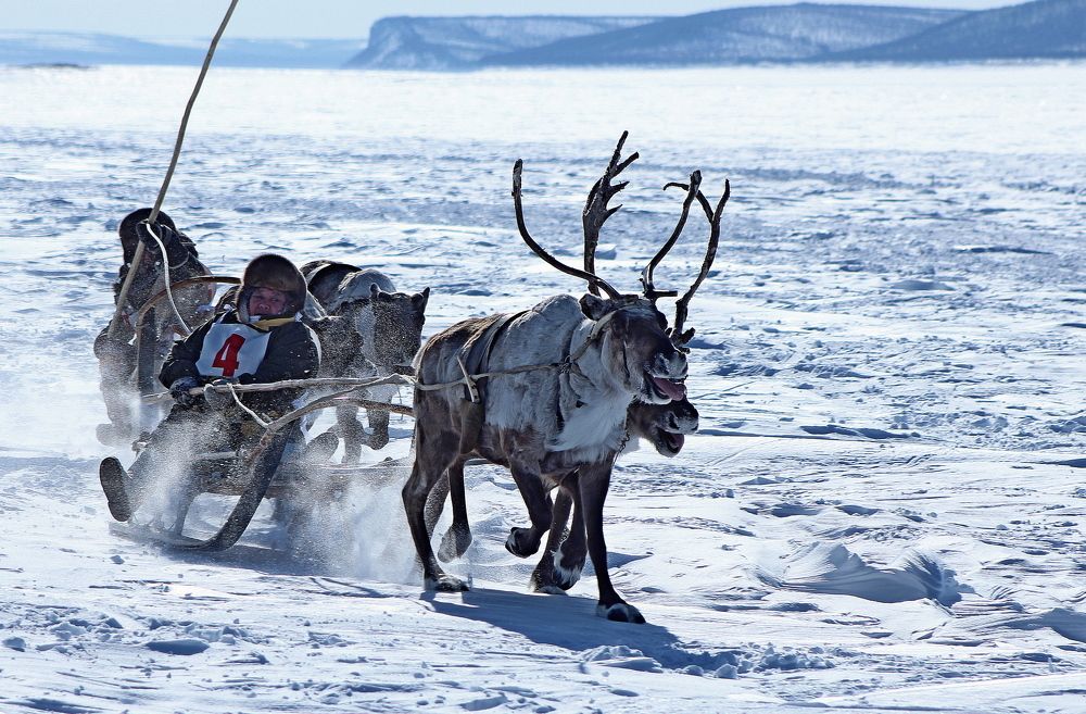 Photograph by Александр Велигура