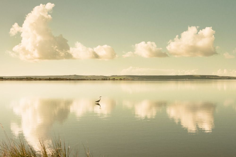 Photograph by Giulio Casti