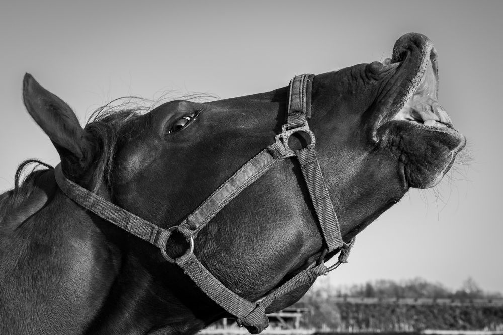 Photograph by Виктор Рыков