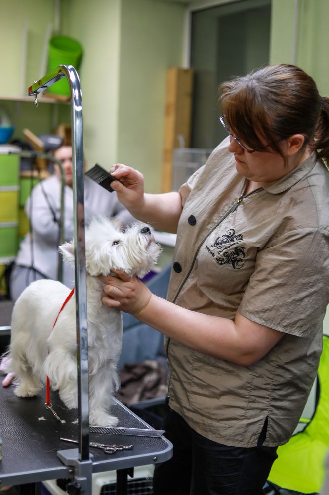 Photograph by Оксана Сизых