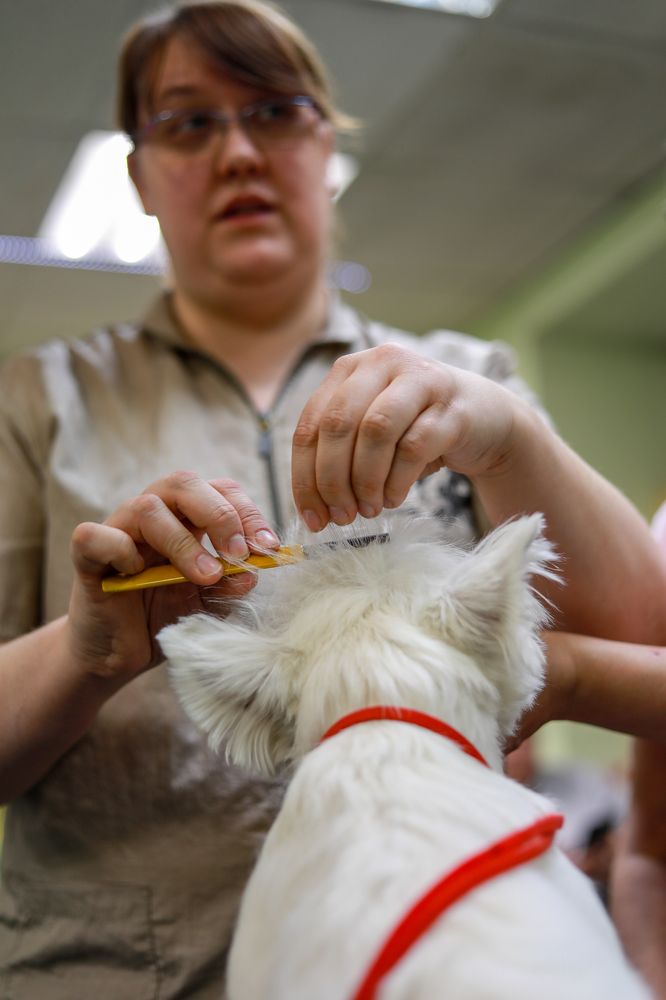 Photograph by Оксана Сизых