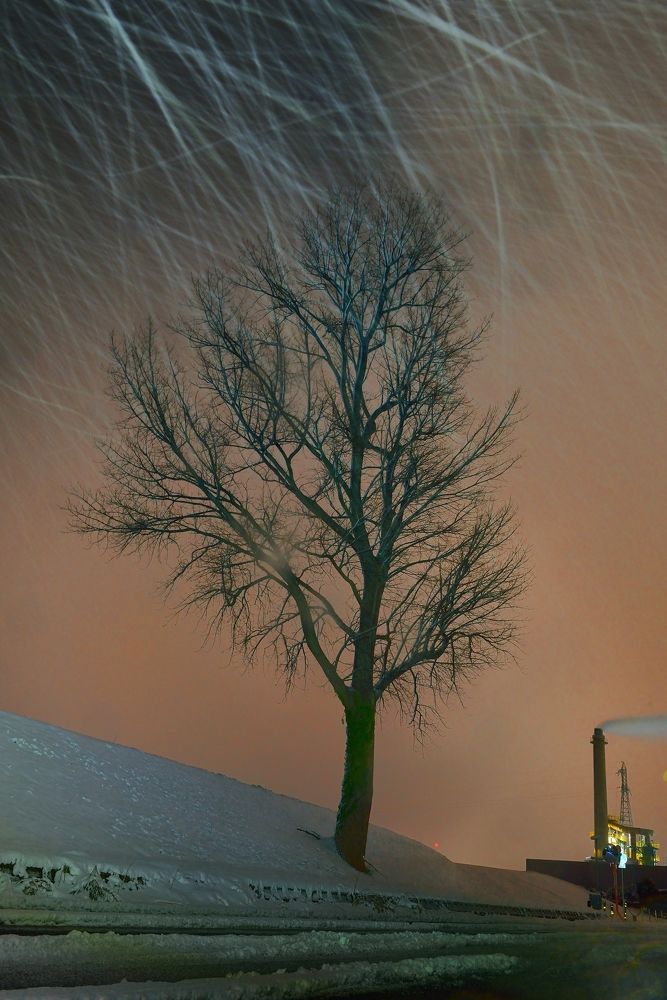 Photograph by Ohta Sigeki