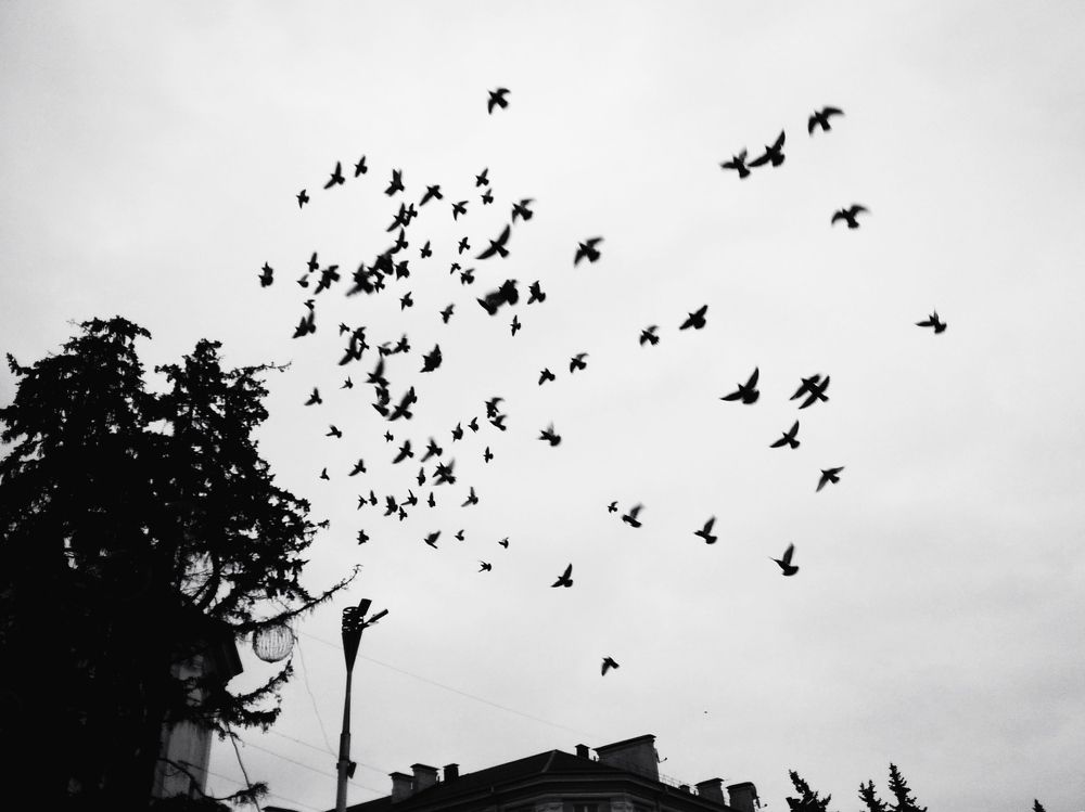 Photograph by Ирина Половцева