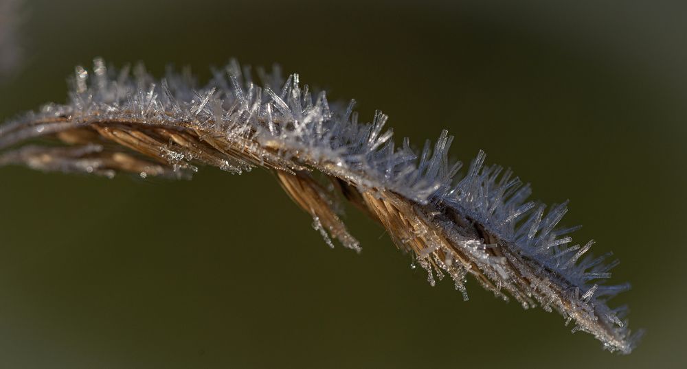 Photograph by Сергей Басов