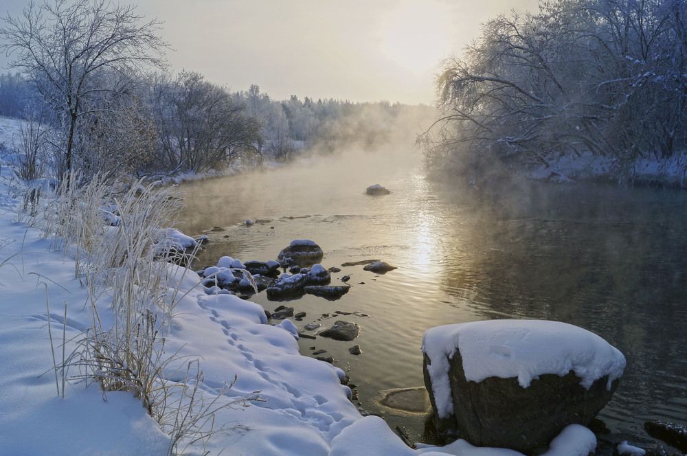 Photograph by Мишустина Татьяна