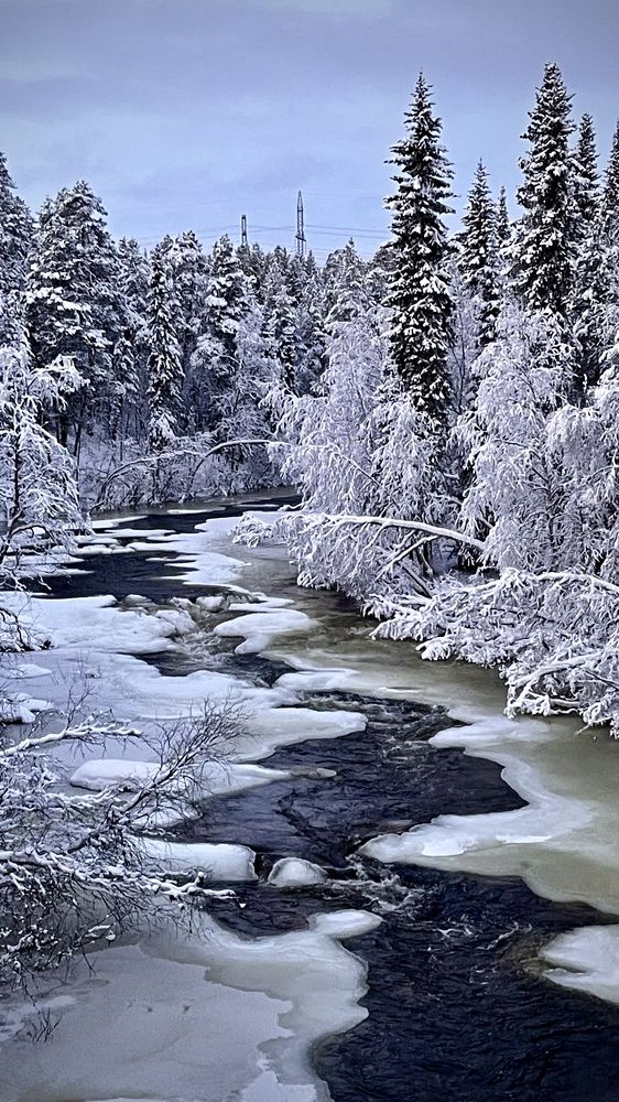 Фотография автора Юлия Шумейко