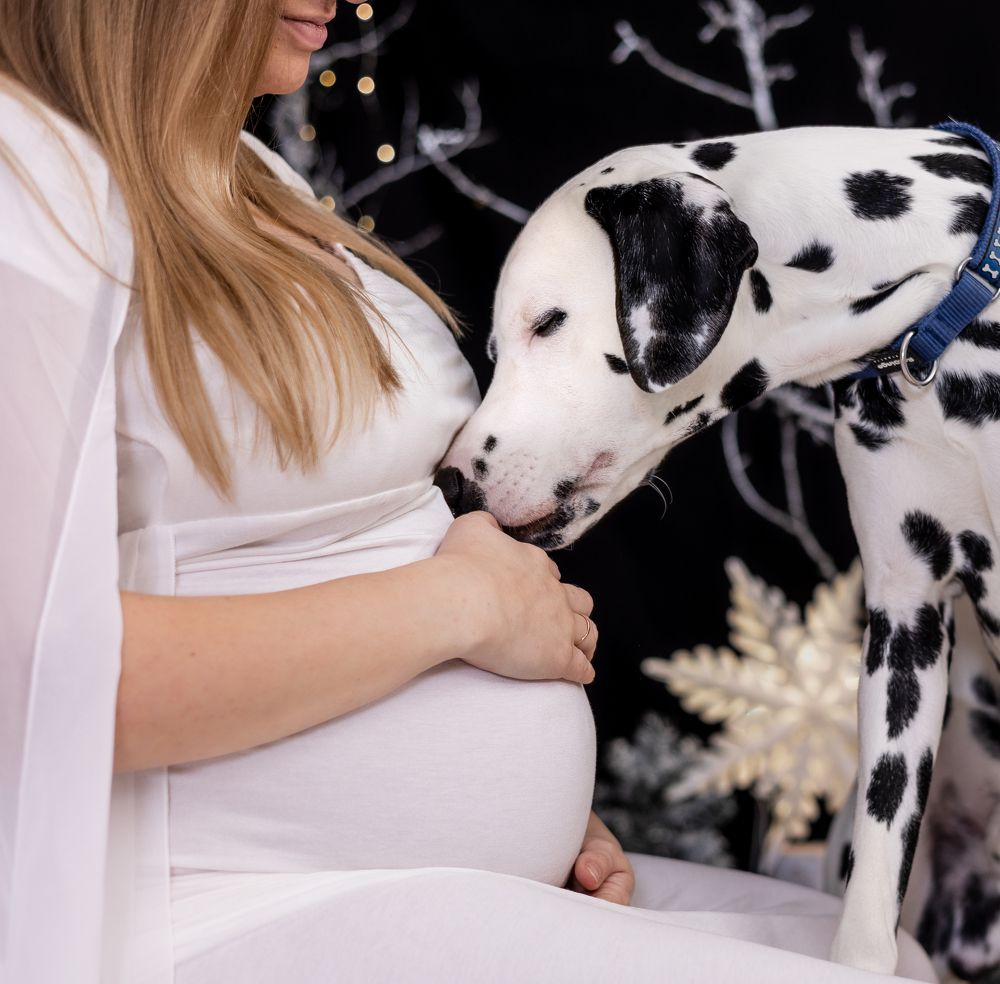 Photograph by Mariko Passel