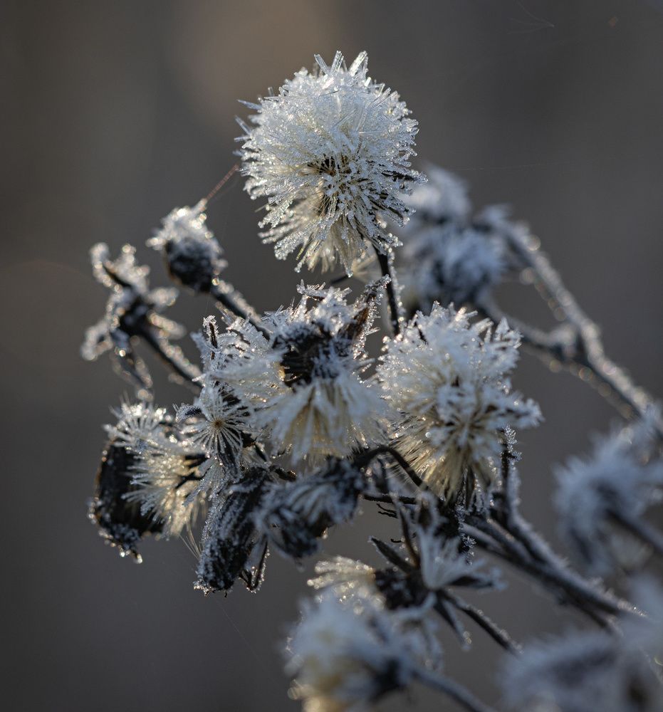 Photograph by Сергей Басов