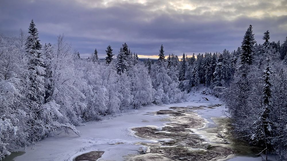 Фотография автора Юлия Шумейко