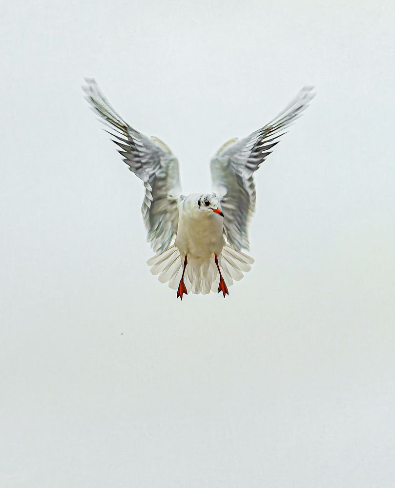 Photograph by Sysoyev Konstantin