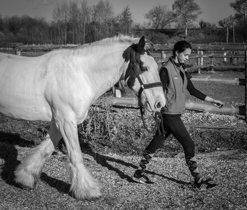 Photograph by Виктор Рыков