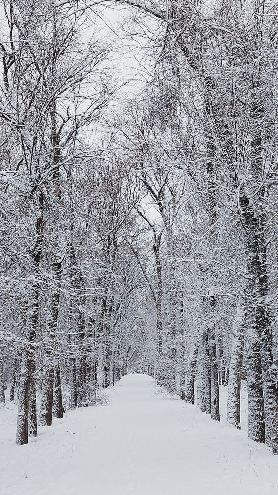 Photograph by Анна Чичилова