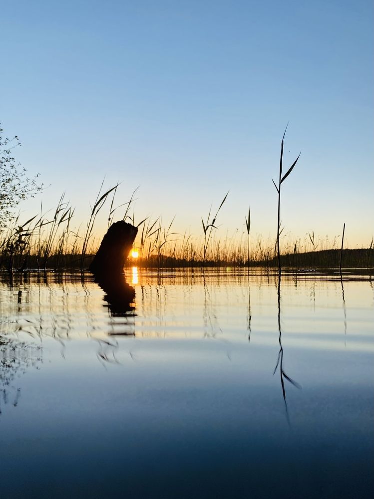 Photograph by Виктория Ярина