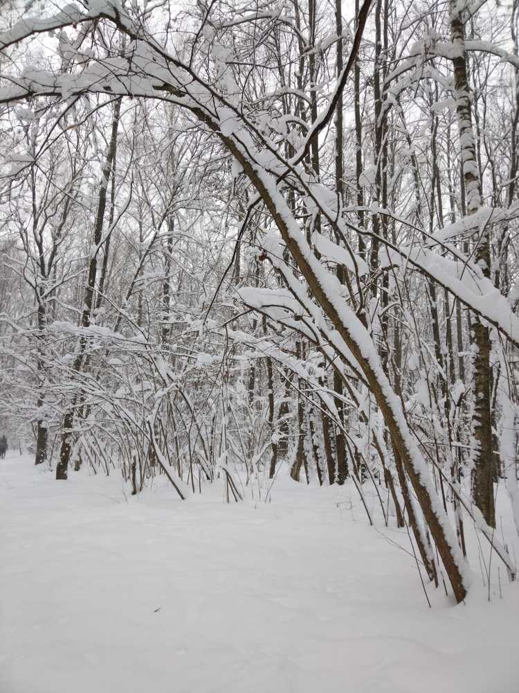 Photograph by Анастасия Липаткина