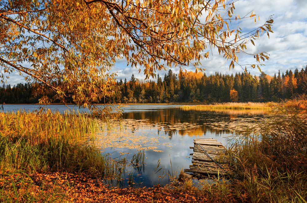 Photograph by Грязев Сергей