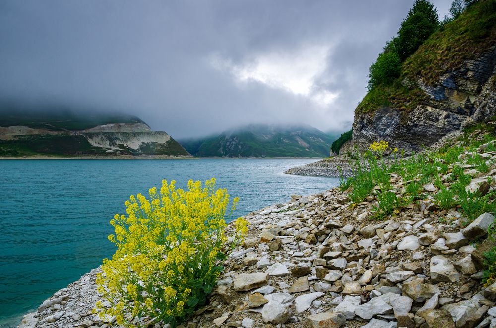 Photograph by Грязев Сергей