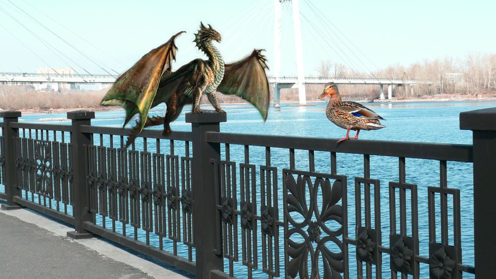 Дракон и утка